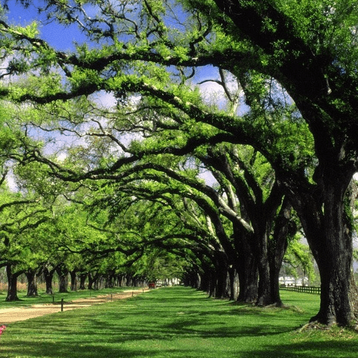 Charleston, South Carolina